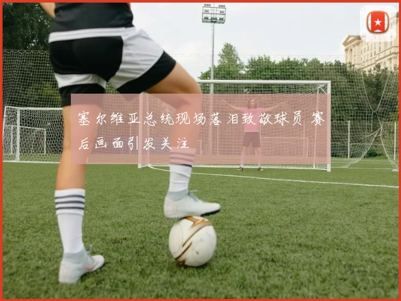 塞尔维亚总统现场落泪致敬球员 赛后画面引发关注