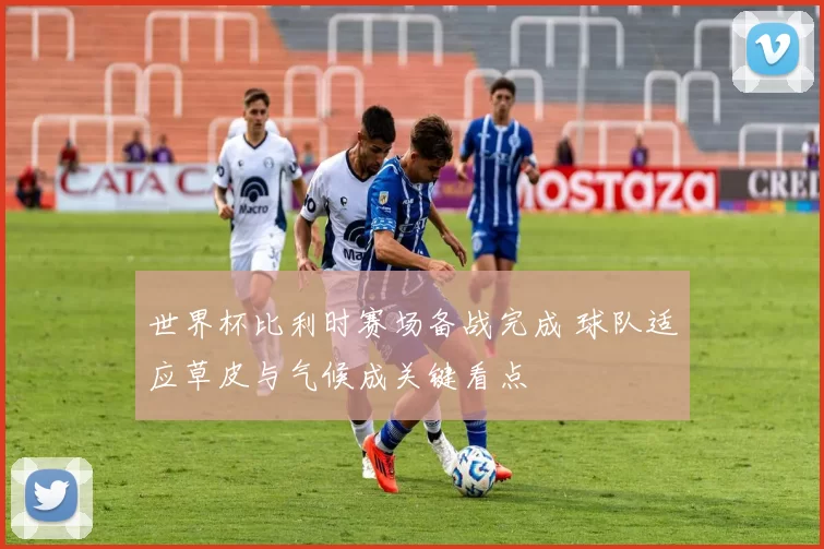 世界杯比利时赛场备战完成 球队适应草皮与气候成关键看点