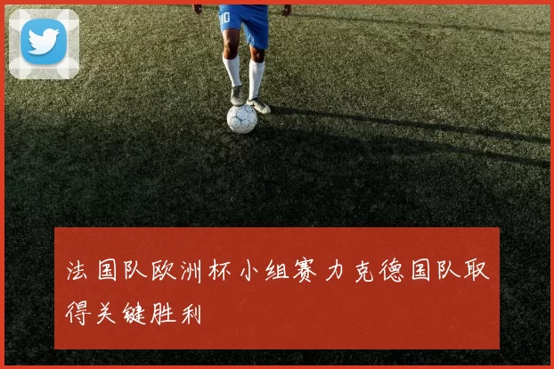 法国队欧洲杯小组赛力克德国队取得关键胜利