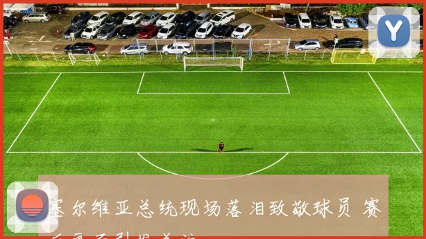 塞尔维亚总统现场落泪致敬球员 赛后画面引发关注