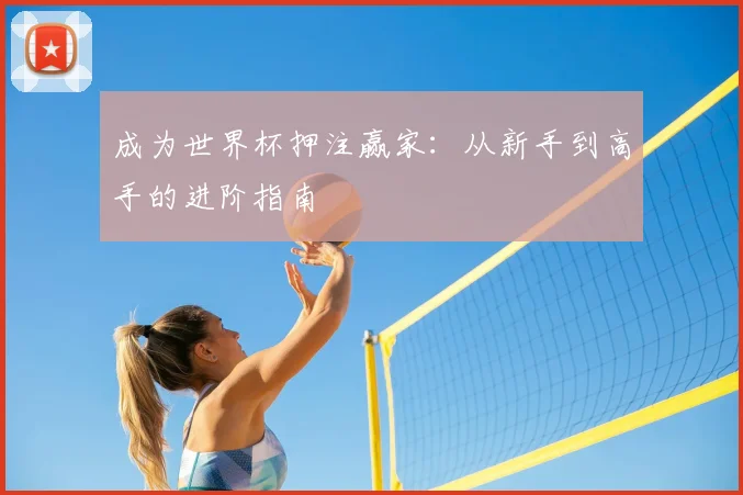 成为世界杯押注赢家:从新手到高手的进阶指南