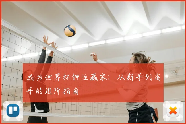 成为世界杯押注赢家：从新手到高手的进阶指南