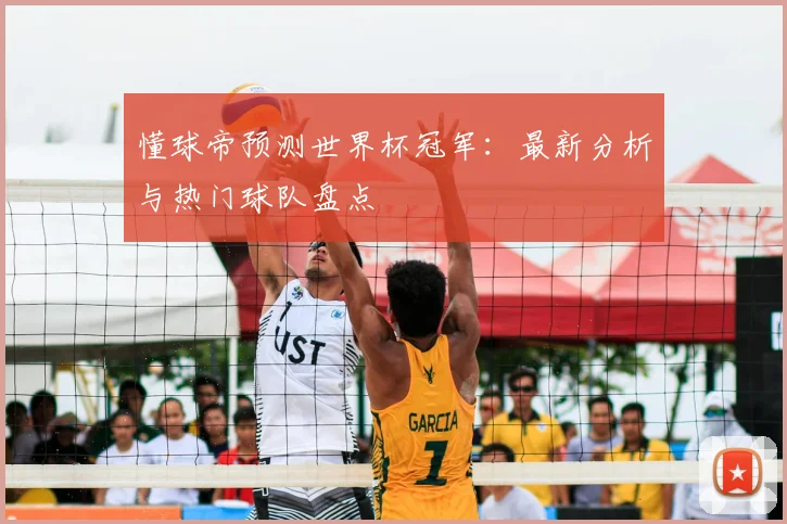 懂球帝预测世界杯冠军：最新分析与热门球队盘点
