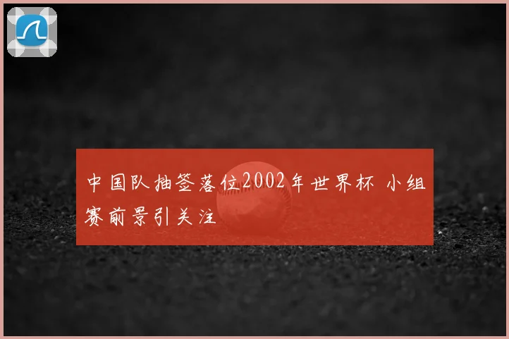 中国队抽签落位2002年世界杯 小组赛前景引关注