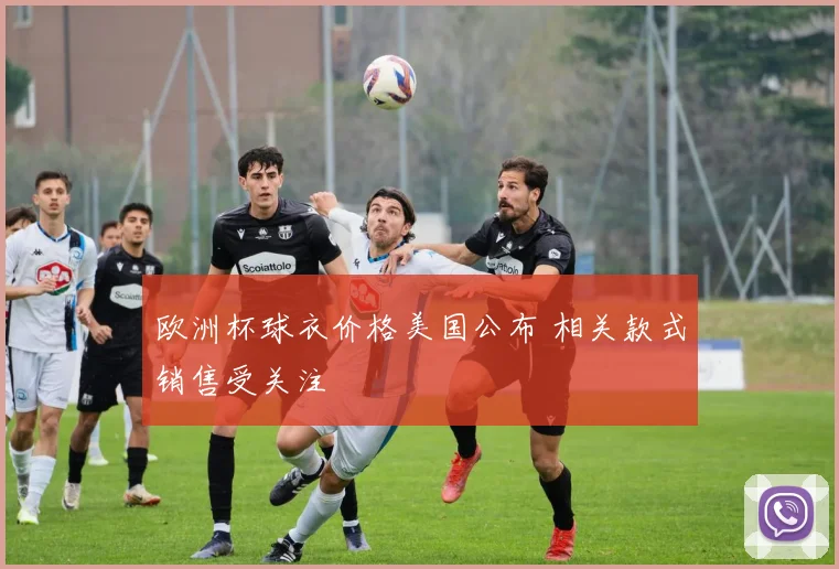欧洲杯球衣价格美国公布 相关款式销售受关注